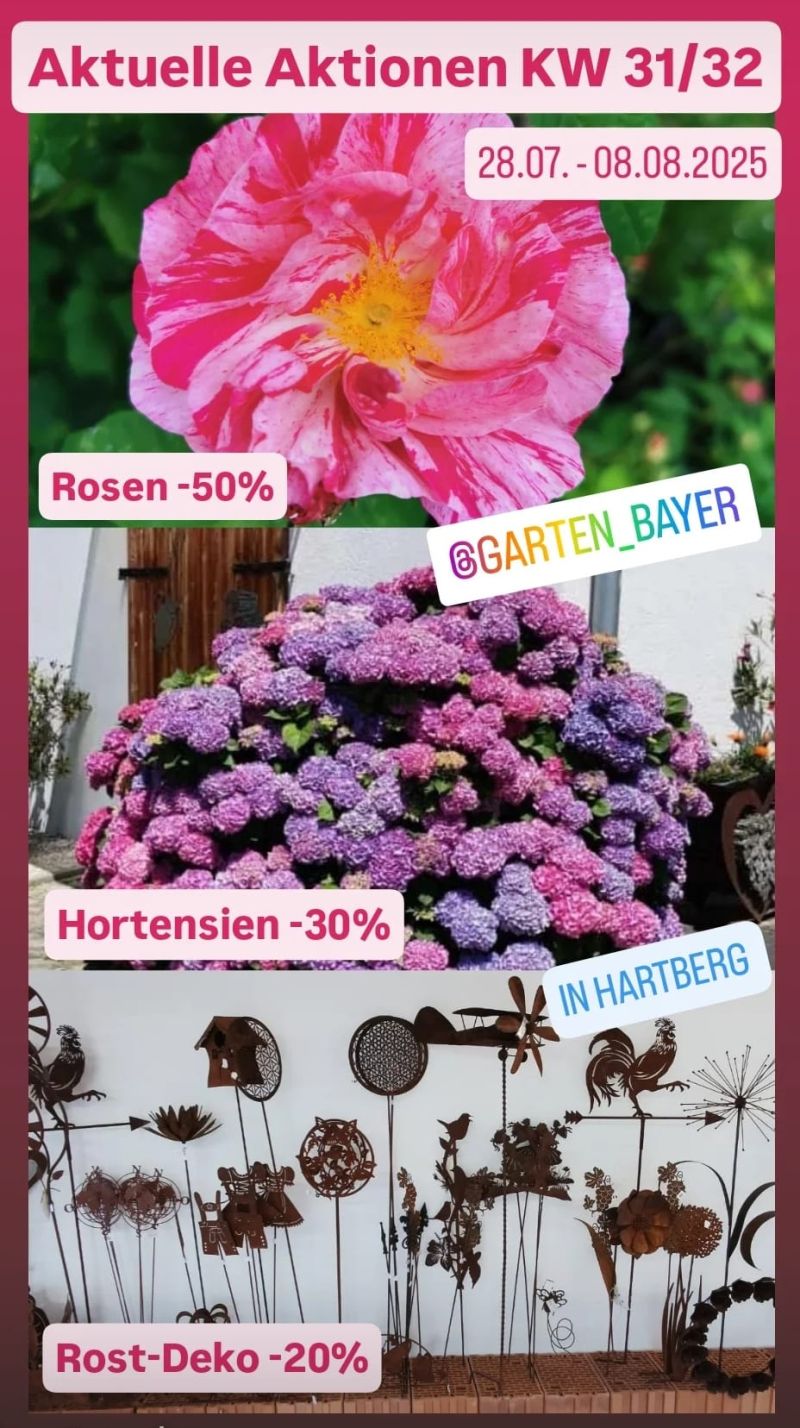 Aktionen KW 31/32