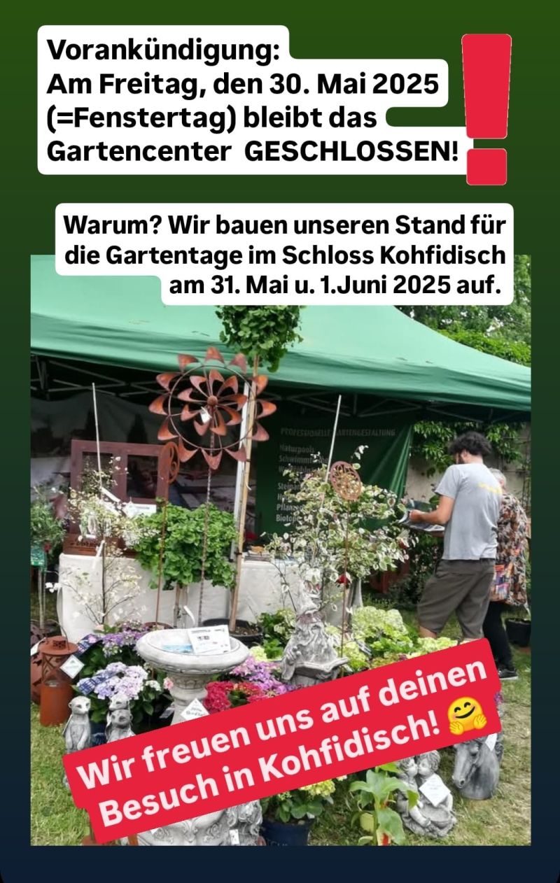 Vorankündigungs Flyer 