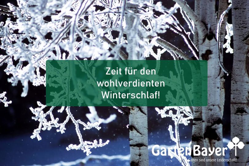 Black Weeks bei Garten Bayer